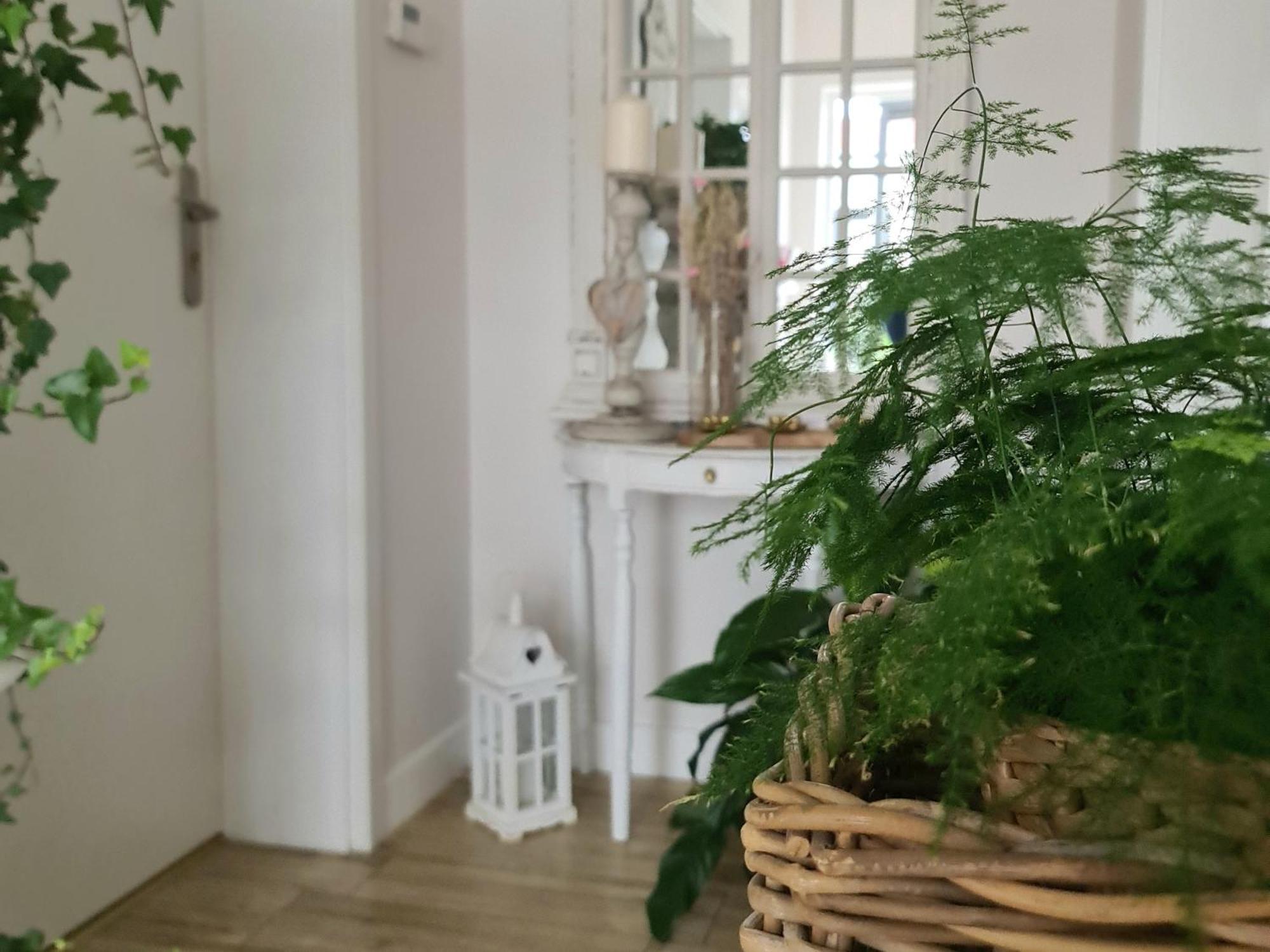 Apartamenty "La Villa" Z Klimatyzacja, Ogrodem, Parkingiem, Blisko Centrum Kudowa-Zdrój Exterior foto